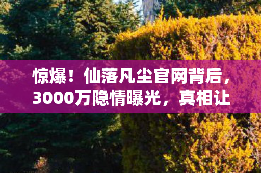 惊爆!仙落凡尘官网背后,3000万隐情曝光,真相让人吓一跳! 惊爆!仙落凡尘官网背后,3000万隐情曝光,真相让人吓一跳!