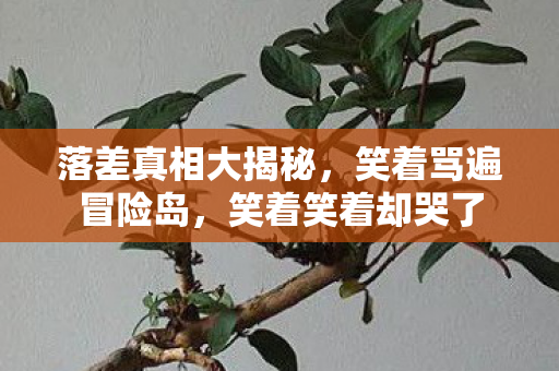 落差真相大揭秘,笑着骂遍冒险岛,笑着笑着却哭了 落差真相大揭秘,笑着骂遍冒险岛,笑着笑着却哭了