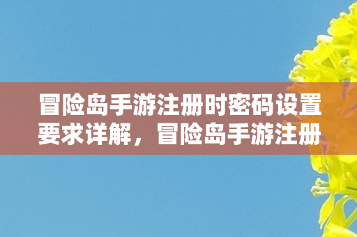 冒险岛手游注册时密码设置要求详解图片