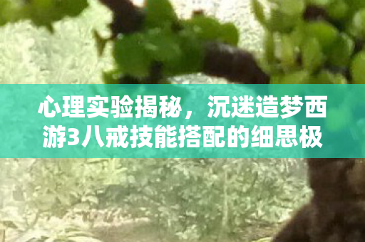 心理实验揭秘,沉迷造梦西游3八戒技能搭配的细思极恐真相 心理实验揭秘,沉迷造梦西游3八戒技能搭配的细思极恐真相