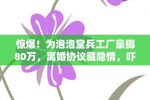 惊爆!为泡泡堂兵工厂豪掷80万,离婚协议藏隐情,吓你一跳! 惊爆!为泡泡堂兵工厂豪掷80万,离婚协议藏隐情,吓你一跳!