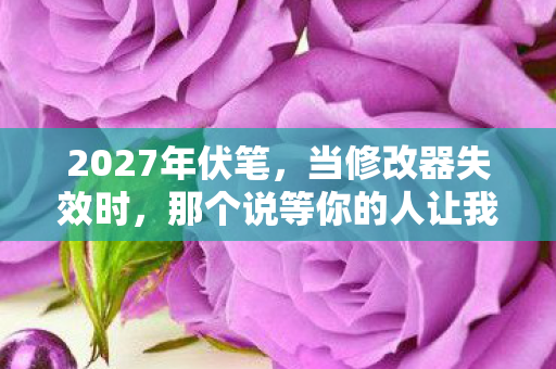 2027年伏笔,当修改器失效时,那个说等你的人让我鼻子一酸 2027年伏笔,当修改器失效时,那个说等你的人让我鼻子一酸