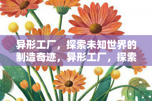 异形工厂，探索未知世界的制造奇迹，异形工厂，探索未知世界的制造奇迹