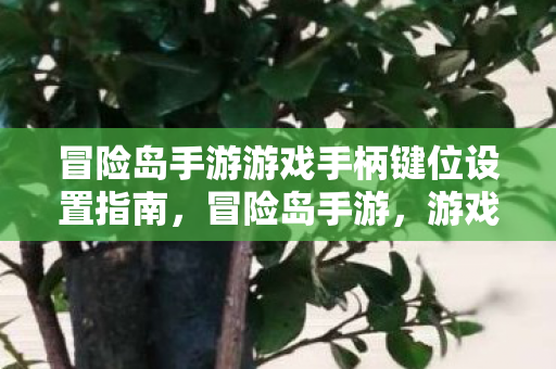 冒险岛手游游戏手柄键位设置指南图片