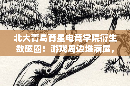北大青鸟育星电竞学院衍生数破圈!游戏周边堆满屋,败家之旅意想不到! 北大青鸟育星电竞学院衍生数破圈!游戏周边堆满屋,败家之旅意想不到!