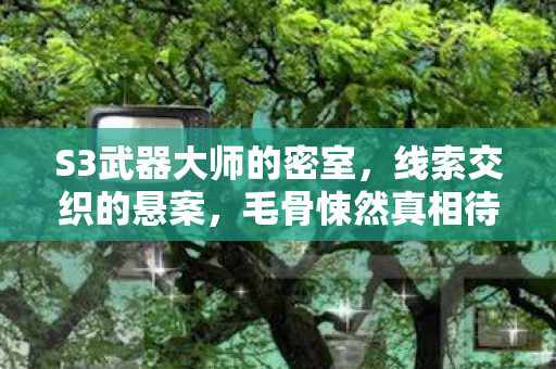 S3武器大师的密室,线索交织的悬案,毛骨悚然真相待揭 S3武器大师的密室,线索交织的悬案,毛骨悚然真相待揭