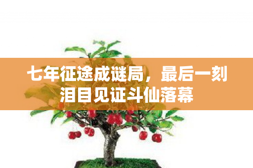七年征途成谜局,最后一刻泪目见证斗仙落幕 七年征途成谜局,最后一刻泪目见证斗仙落幕