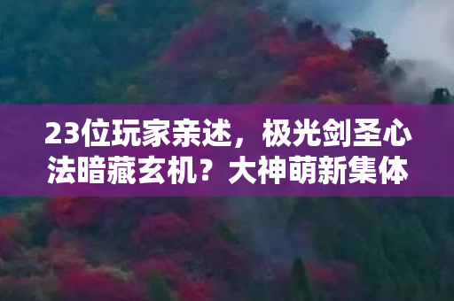 23位玩家亲述,极光剑圣心法暗藏玄机?大神萌新集体绷不住! 23位玩家亲述,极光剑圣心法暗藏玄机?大神萌新集体绷不住!