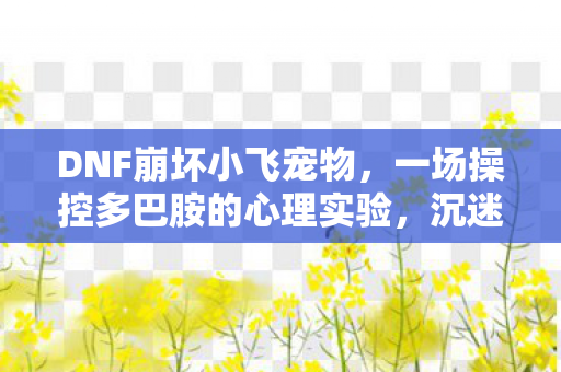 DNF崩坏小飞宠物，一场操控多巴胺的心理实验，沉迷背后细思极恐