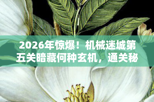 2026年惊爆!机械迷城第五关暗藏何种玄机,通关秘籍在此! 2026年惊爆!机械迷城第五关暗藏何种玄机,通关秘籍在此!