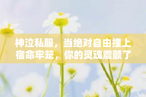 当绝对自由撞上宿命牢笼图片