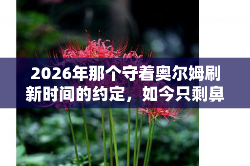 2026年那个守着奥尔姆刷新时间的约定,如今只剩鼻子一酸的回响 2026年那个守着奥尔姆刷新时间的约定,如今只剩鼻子一酸的回响