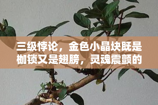 三级悖论,金色小晶块既是枷锁又是翅膀,灵魂震颤的DNF深渊 三级悖论,金色小晶块既是枷锁又是翅膀,灵魂震颤的DNF深渊