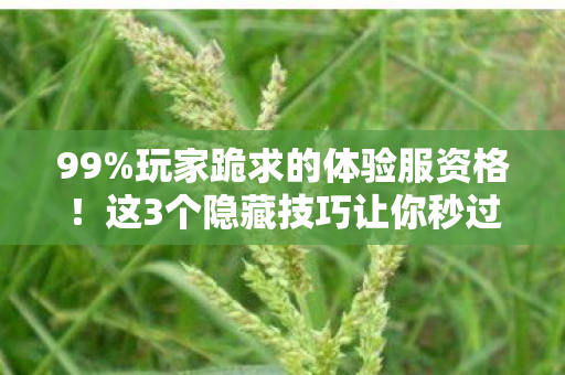 这3个隐藏技巧让你秒过图片