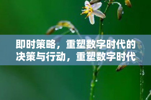 即时策略,重塑数字时代的决策与行动,重塑数字时代的决策与行动,即时策略是关键 即时策略,重塑数字时代的决策与行动,重塑数字时代的决策与行动,即时策略是关键