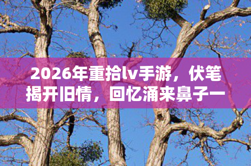 2026年重拾lv手游,伏笔揭开旧情,回忆涌来鼻子一酸 2026年重拾lv手游,伏笔揭开旧情,回忆涌来鼻子一酸