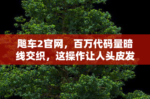 飚车2官网,百万代码量暗线交织,这操作让人头皮发麻! 飚车2官网,百万代码量暗线交织,这操作让人头皮发麻!