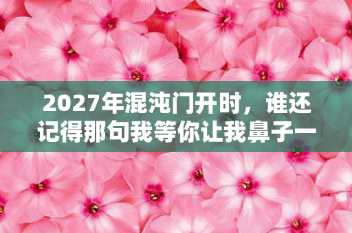 2027年混沌门开时,谁还记得那句我等你让我鼻子一酸 2027年混沌门开时,谁还记得那句我等你让我鼻子一酸