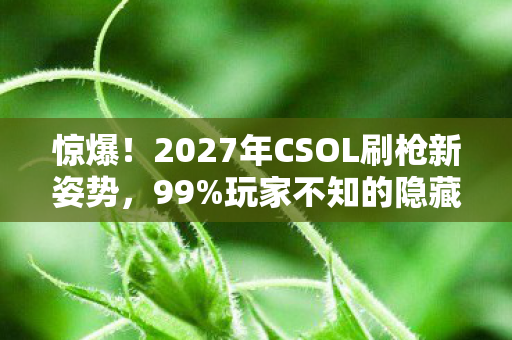 惊爆!2027年CSOL刷枪新姿势,99%玩家不知的隐藏狂欢? 惊爆!2027年CSOL刷枪新姿势,99%玩家不知的隐藏狂欢?