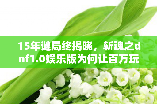 15年谜局终揭晓,斩魂之dnf1.0娱乐版为何让百万玩家泪目? 15年谜局终揭晓,斩魂之dnf1.0娱乐版为何让百万玩家泪目?