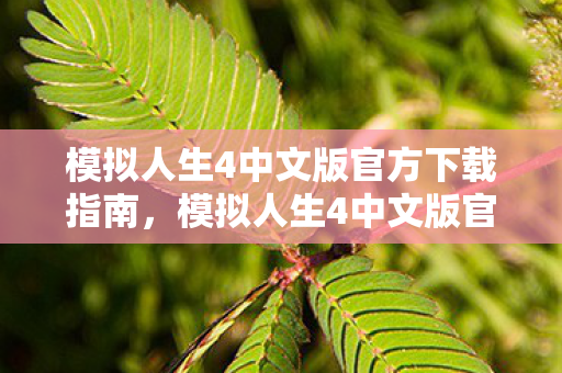 模拟人生4中文版官方下载指南，模拟人生4中文版官方下载指南