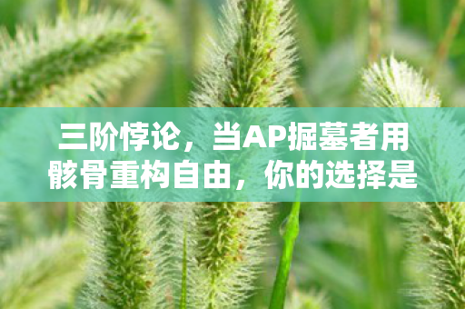 三阶悖论，当AP掘墓者用骸骨重构自由，你的选择是深渊还是神谕？