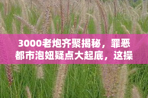 3000老炮齐聚揭秘，罪恶都市泡妞疑点大起底，这操作真绷不住！