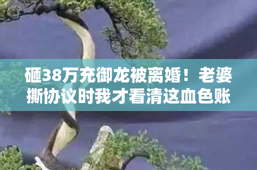 砸38万充御龙被离婚!老婆撕协议时我才看清这血色账单 砸38万充御龙被离婚!老婆撕协议时我才看清这血色账单