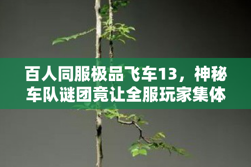 百人同服极品飞车13,神秘车队谜团竟让全服玩家集体破防? 百人同服极品飞车13,神秘车队谜团竟让全服玩家集体破防?