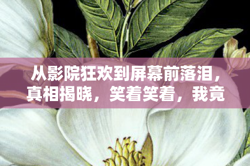 从影院狂欢到屏幕前落泪,真相揭晓,笑着笑着,我竟哭了自己 从影院狂欢到屏幕前落泪,真相揭晓,笑着笑着,我竟哭了自己