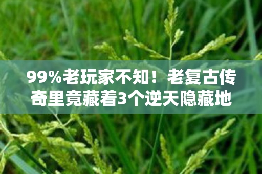 99%老玩家不知!老复古传奇里竟藏着3个逆天隐藏地图? 99%老玩家不知!老复古传奇里竟藏着3个逆天隐藏地图?