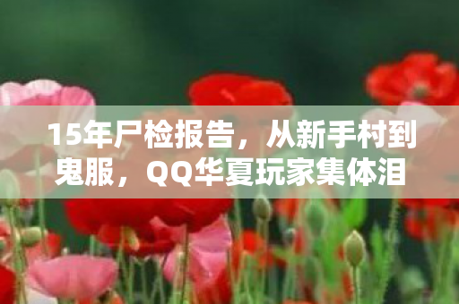 QQ华夏玩家集体泪目之谜图片