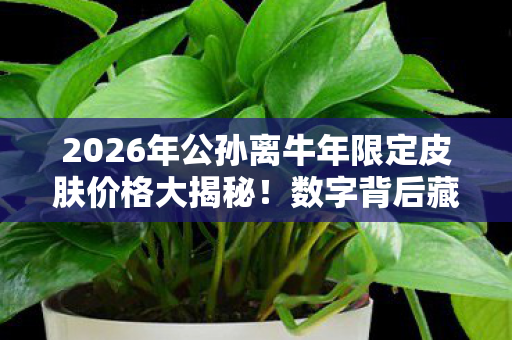 2026年公孙离牛年限定皮肤价格大揭秘!数字背后藏何玄机? 2026年公孙离牛年限定皮肤价格大揭秘!数字背后藏何玄机?