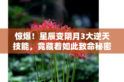 惊爆！星辰变阴月3大逆天技能，竟藏着如此致命秘密？