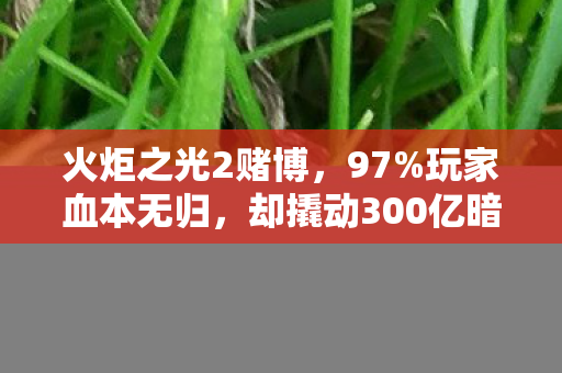 火炬之光2赌博,97%玩家血本无归,却撬动300亿暗流下的暴利新蓝海 火炬之光2赌博,97%玩家血本无归,却撬动300亿暗流下的暴利新蓝海