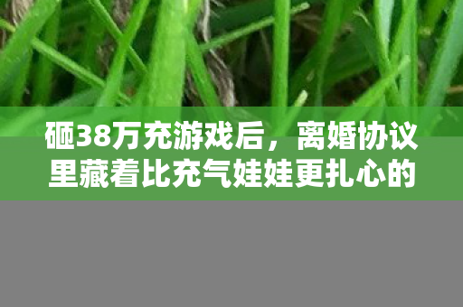 砸38万充游戏后,离婚协议里藏着比充气娃娃更扎心的秘密! 砸38万充游戏后,离婚协议里藏着比充气娃娃更扎心的秘密!