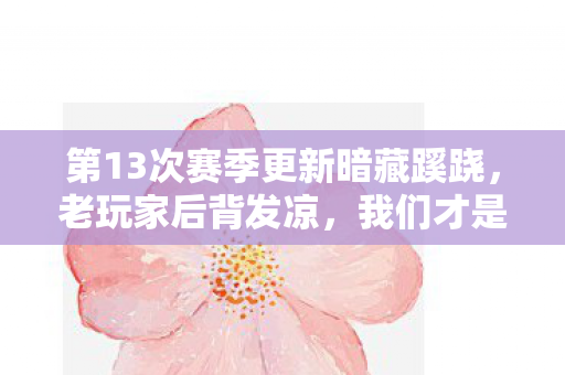 第13次赛季更新暗藏蹊跷，老玩家后背发凉，我们才是被耍的猴