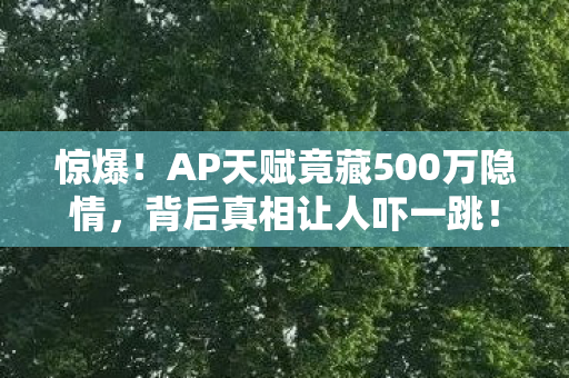 AP天赋竟藏500万隐情图片