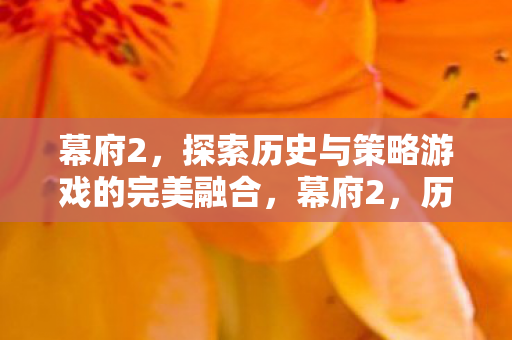 幕府2,探索历史与策略游戏的完美融合,幕府2,历史与策略游戏的完美融合之旅 幕府2,探索历史与策略游戏的完美融合,幕府2,历史与策略游戏的完美融合之旅