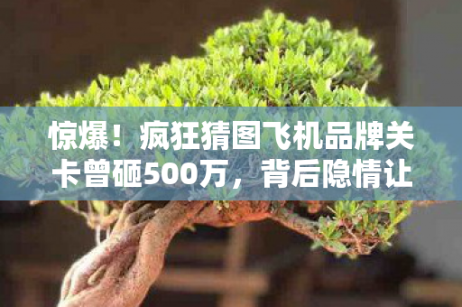 惊爆！疯狂猜图飞机品牌关卡曾砸500万，背后隐情让人吓一跳！
