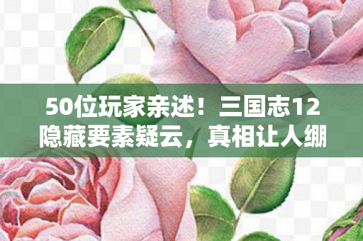 三国志12隐藏要素疑云图片