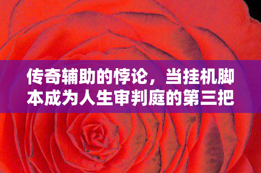 当挂机脚本成为人生审判庭的第三把交椅图片