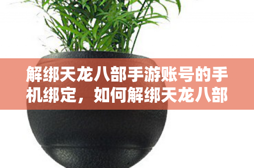 解绑天龙八部手游账号的手机绑定,如何解绑天龙八部手游账号的手机绑定? 解绑天龙八部手游账号的手机绑定,如何解绑天龙八部手游账号的手机绑定?