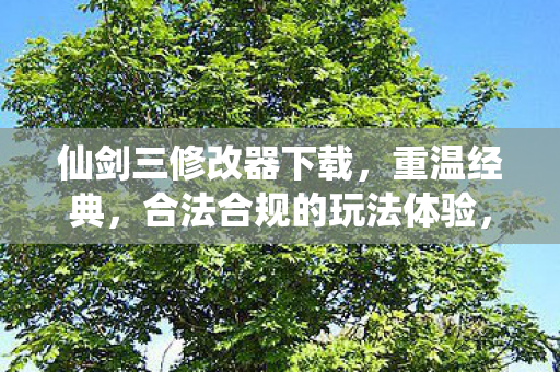 仙剑三修改器下载,重温经典,合法合规的玩法体验,仙剑三修改器,重温经典,合法合规的玩法体验 仙剑三修改器下载,重温经典,合法合规的玩法体验,仙剑三修改器,重温经典,合法合规的玩法体验