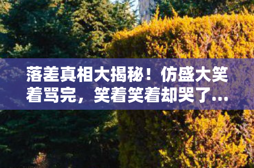 落差真相大揭秘!仿盛大笑着骂完,笑着笑着却哭了…… 落差真相大揭秘!仿盛大笑着骂完,笑着笑着却哭了……