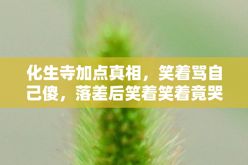 落差后笑着笑着竟哭了图片
