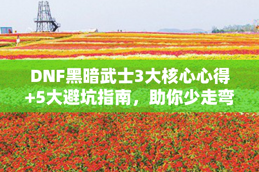 DNF黑暗武士3大核心心得图片