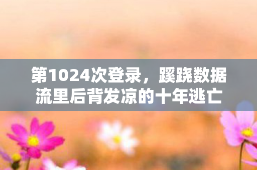 蹊跷数据流里后背发凉的十年逃亡图片