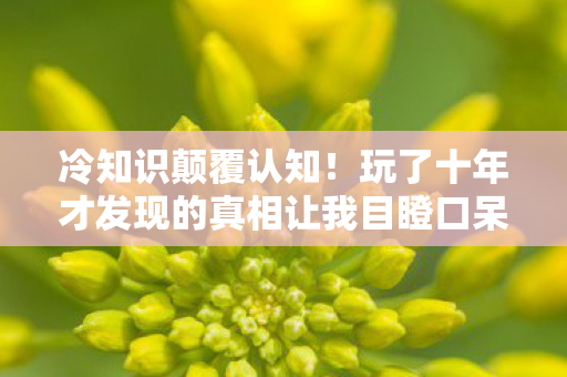 玩了十年才发现的真相让我目瞪口呆图片