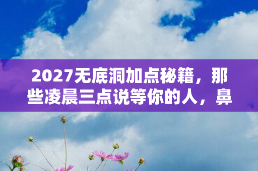 2027无底洞加点秘籍图片